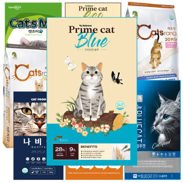 반려묘