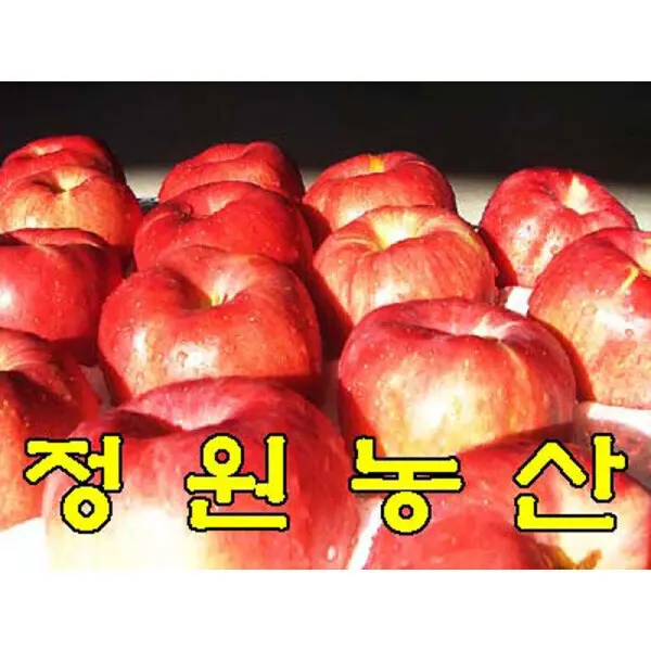 정원농산 껍찔째먹는사과 5키로 가정용사과출시(마른흠) 2026년햇사과(24과-28과내외) 골든볼.홍로부터시작~