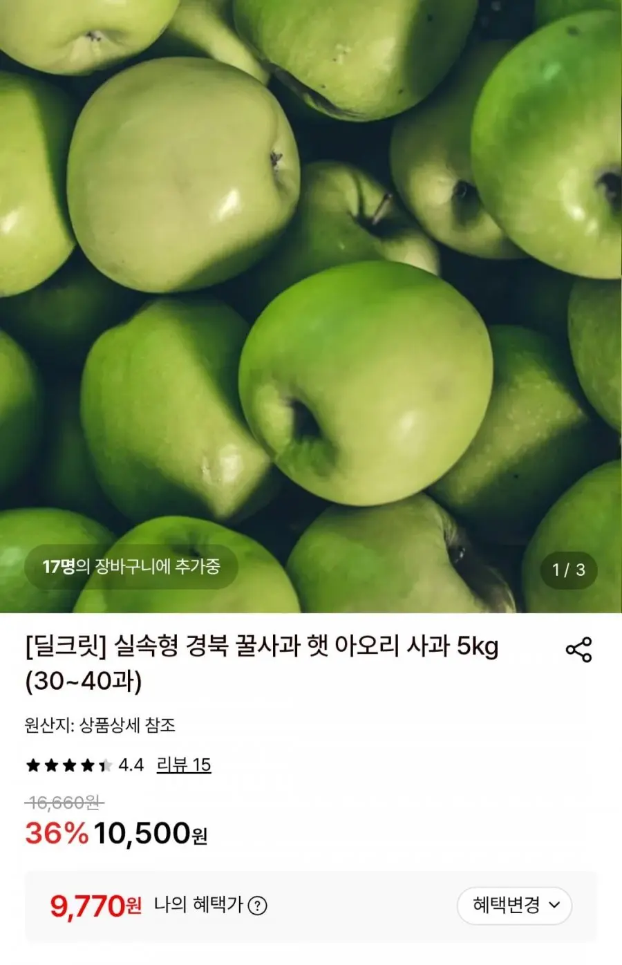 [롯데온] 햇 아오리사과 5kg (9,770원/무료)