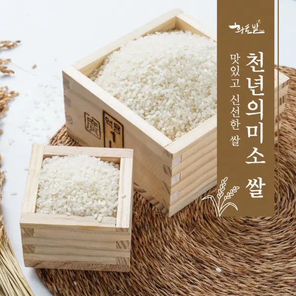 쌀(백미) 10kg /25년산 국내산 100% (35,900원/무료)