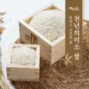 쌀(백미) 10kg /25년산 국내산 100% (35,900원/무료)