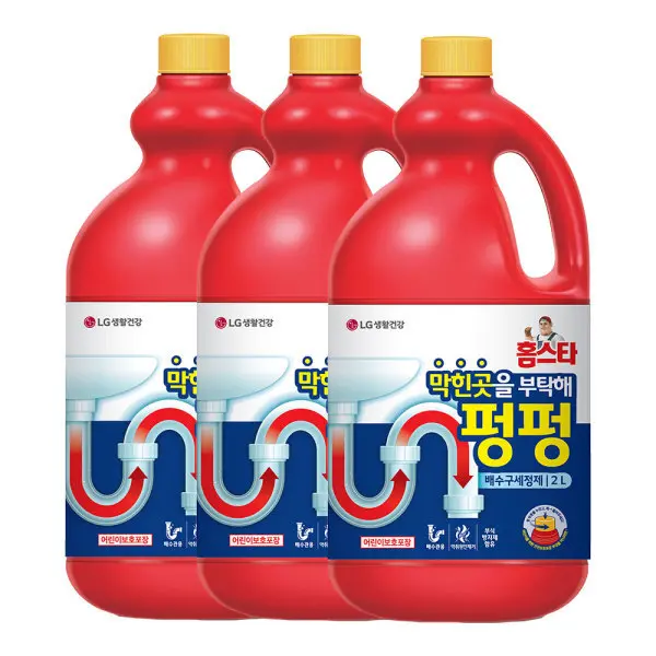 홈스타 퍼펙트 세탁조 클리너 450ML 2개