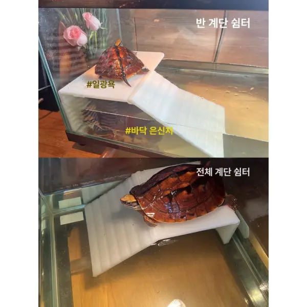 거북이수조 일광욕대 쉼터 운동 아크릴 반수생 어항 육지 하우스 직사각형 배수 대형 가정용 (쿠폰가 28,880원/무료)