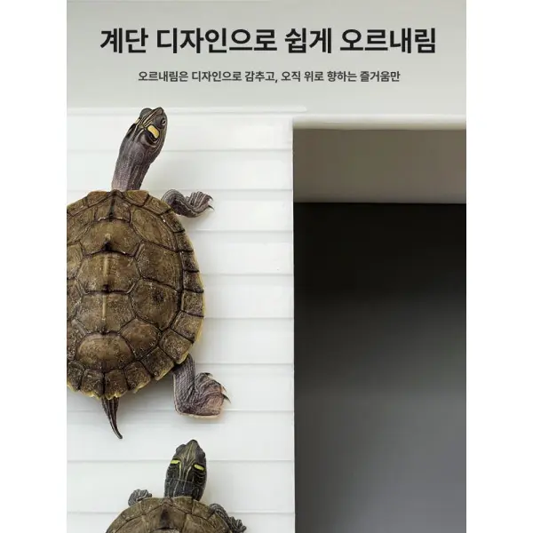 거북이수조 일광욕대 쉼터 운동 아크릴 반수생 어항 육지 하우스 직사각형 배수 대형 가정용 (쿠폰가 28,880원/무료)