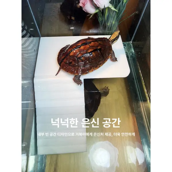 거북이수조 일광욕대 쉼터 운동 아크릴 반수생 어항 육지 하우스 직사각형 배수 대형 가정용 (쿠폰가 28,880원/무료)