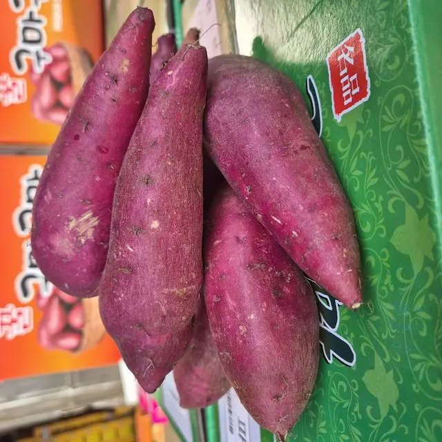 [한정수량] 호박고구마 국내산 햇 고구마, 한정수량)_2kg, 1개