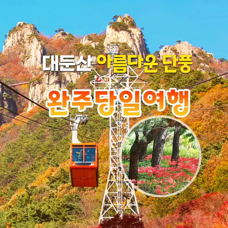 |전라|중식 대둔산 케이블카 단풍+대아수목원 꽃무릇+삼례문화예술촌+완주로컬푸드직매장 완주힐링시티투어