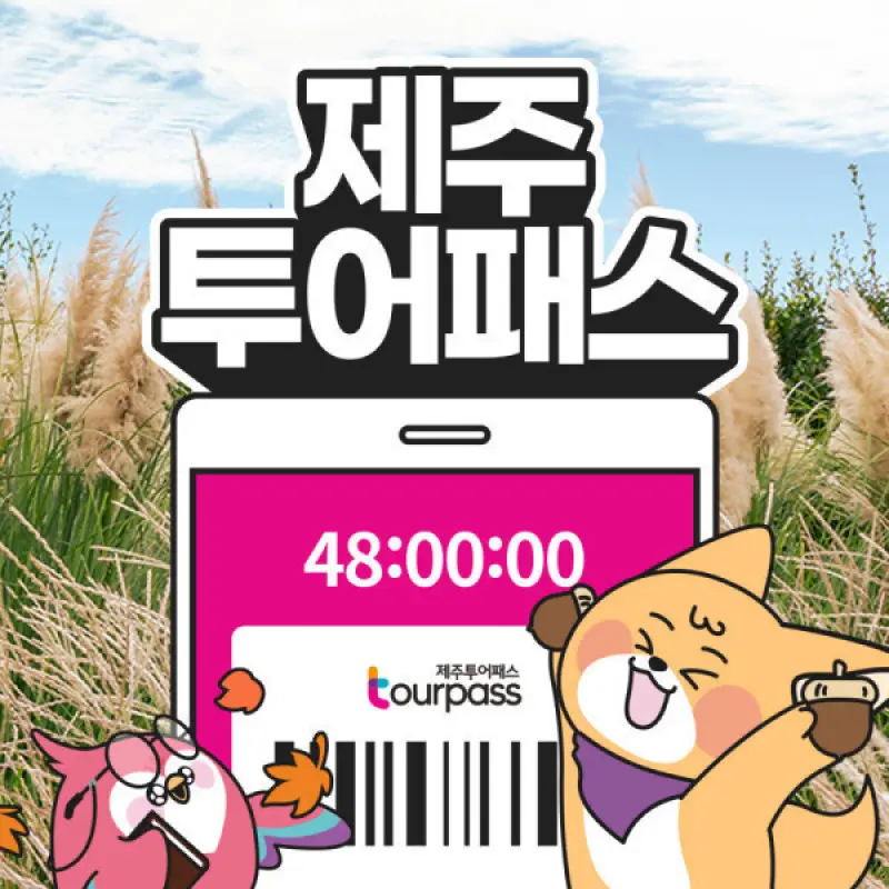 |한가위빅세일| 제주 제주투어패스 프리패스 / 여행 관광지 체험 액티비티 여객선 승마 카트 공연