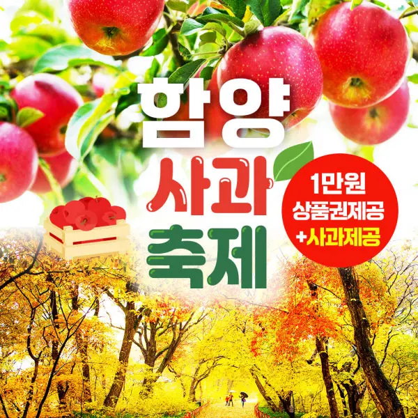 11/7_ 단하루|경남| 1만원상품권 | 함양 사과축제+상림공원 단풍+일두고택 당일