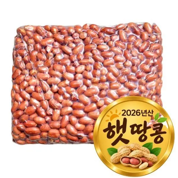 (신선집중) 볶은땅콩 3.75kg 26년 24/28 큰 알(한정특가)