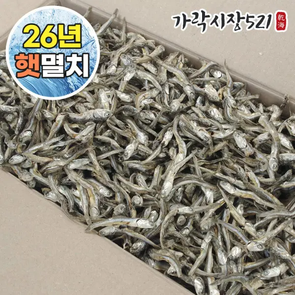 (신선집중) 26년 햇멸치 골라담기 1.5kg 대용량/볶음용 안주용 국물용 멸치 기획전