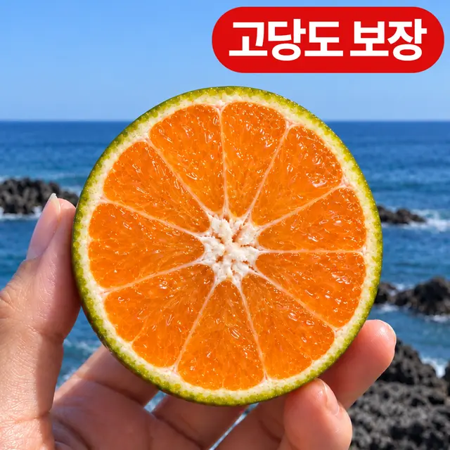 [고당도] 제주도 노지감귤 농장직송 당도선별, 3kg (로얄과), 1박스