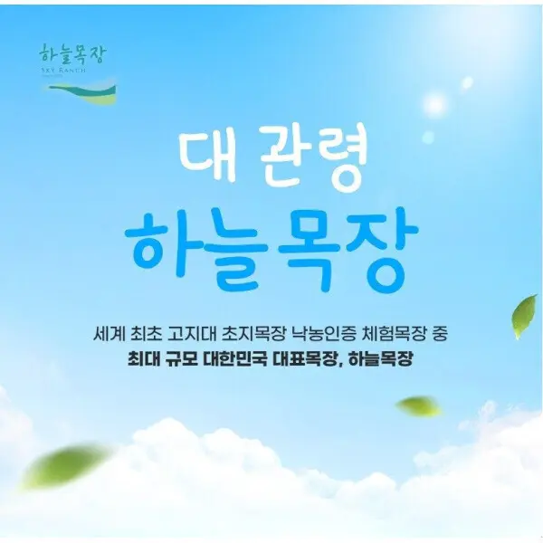 (구매후 익일사용가능) 대관령 하늘목장 입장권 (~09/30)