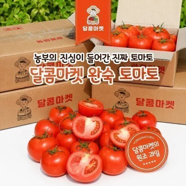(농할20%) 달콤마켓스토어 (2박스 구매시 1kg 추가발송) 부여 산지직송 완숙토마토 중과 2kg