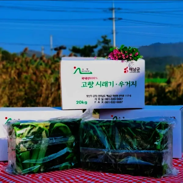 해피유통 해남 배추우거지20kg 냉동우거지 생지 대용량 업소용