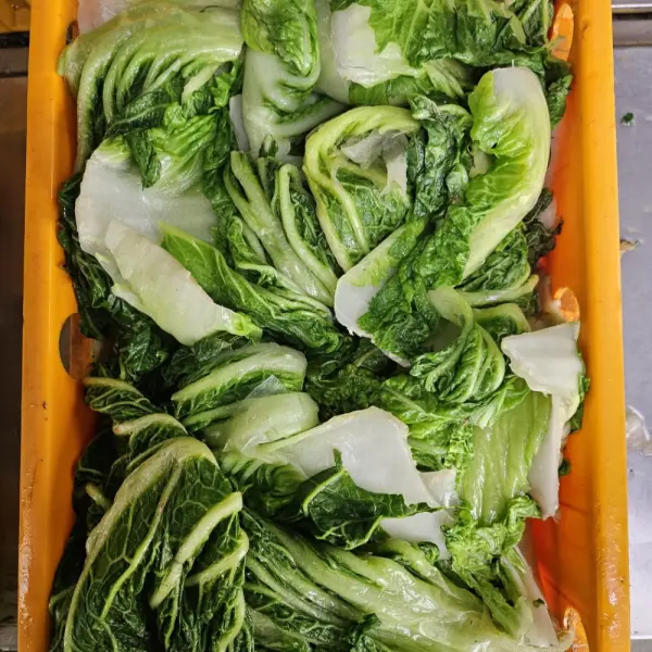 해피유통 해남 배추우거지20kg 냉동우거지 생지 대용량 업소용