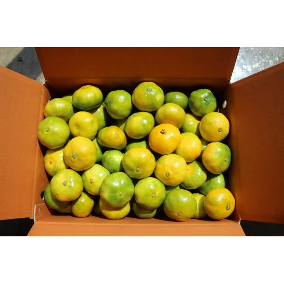 [온누리7%혜택] 제주 제철 햇 극조생 감귤, 소과로얄(2S/S/M 랜덤) 3kg/5kg 산지 직송