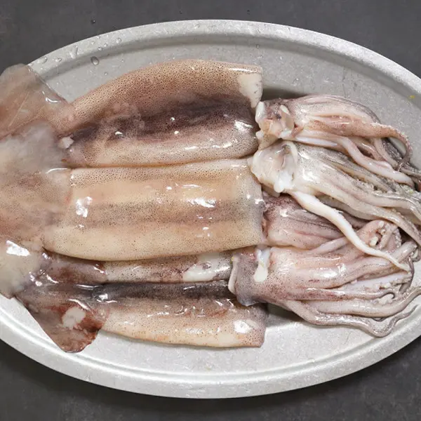 (신선집중) 싱싱 자연산 오징어 서해안 활오징어 1kg(8미내외) (17,450원/무료)