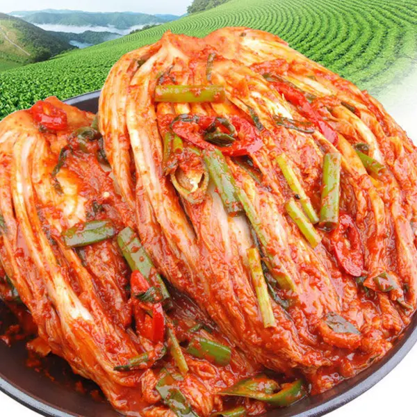 (신선집중) 가정식 포기김치10Kg (맛없다면 무료반품)/배추김치/반찬/총각/열무/캠핑 (쿠폰가 32,820원/무료)