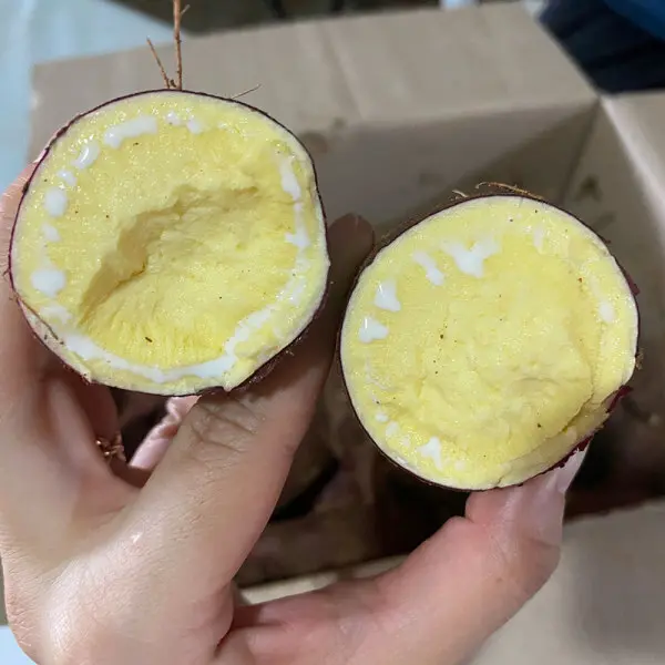 (신선집중) 달달하고 달콤한 꿀고구마 10kg(왕/왕특/요리용)