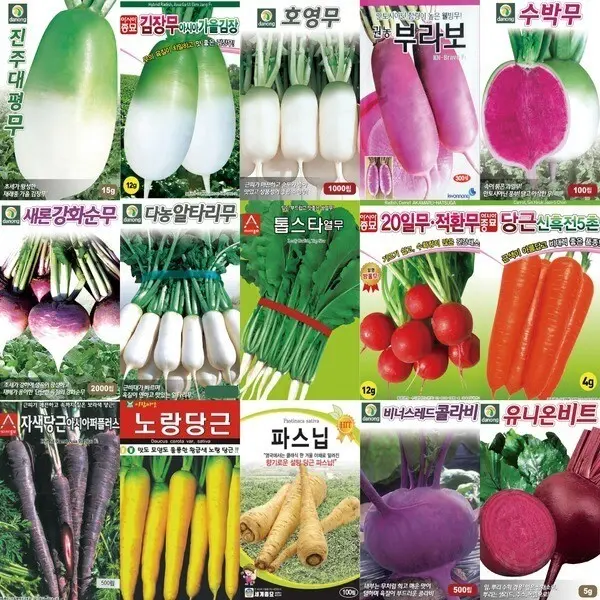 각종 가을 배추 무 씨앗 김장 무우 씨 텃밭 김장용 채소 종자 모음 (3,000원/2,400원)