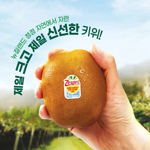 정품 제스프리 썬골드키위 2kg 왕대 16입/점보13입 선택구매 프리미엄과일 골드키위
