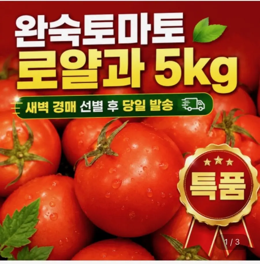 [지마켓] 경북 완숙 토마토 로얄과 5kg (16,920원/무료배송)