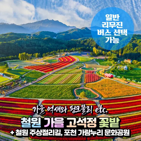 |강원| 철원 고석정꽃밭(가을x노을)+주상절리길+포천 비둘기낭폭포 당일여행 (일반/리무진) / 서울경기出