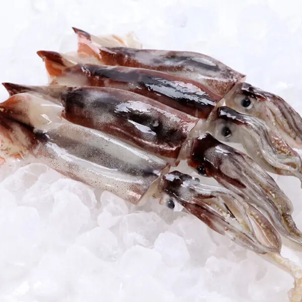 [물고기삼촌](신선집중) 냉동 오징어 3kg 1박스 9-11미 (쿠폰가 22,860원/무료)