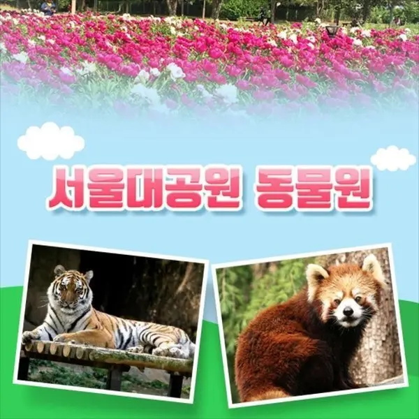 과천 서울대공원 동물원 입장권 (구매당일사용불가)