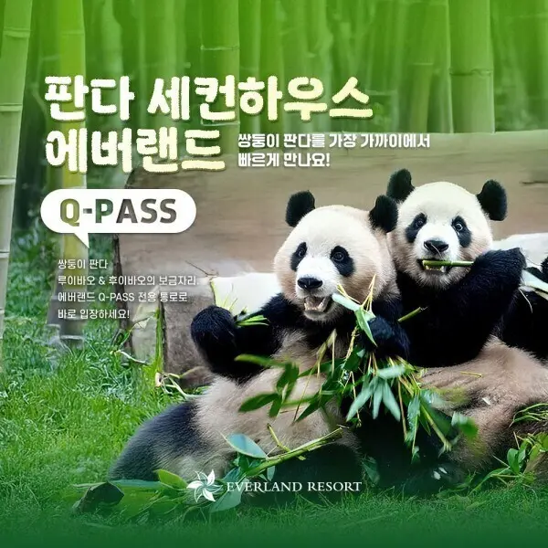 (용인) 에버랜드 Q-PASS: 판다 세컨하우스 (~10/31)