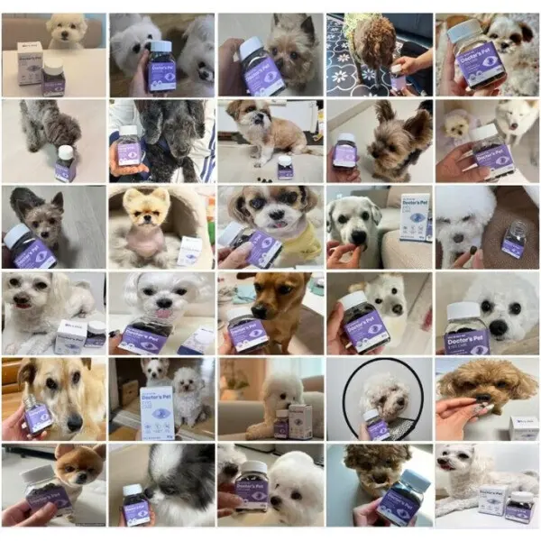 닥터스펫 강아지 눈 건강 영양제 아이즈케어 루테인 반려견 눈물자국/눈물개선/시력저하/80g/70정/2개