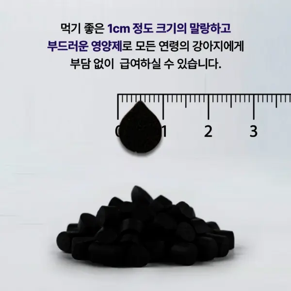 닥터스펫 강아지 눈 건강 영양제 아이즈케어 루테인 반려견 눈물자국/눈물개선/시력저하/80g/70정/2개