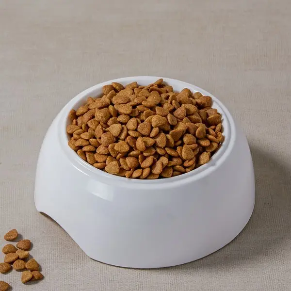 노브랜드 반려묘사료 10kg (N4)