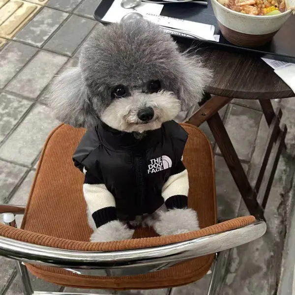 더 도그페이스 강아지패딩 조끼 오리털 겨울옷 개신사 패딩 구매시 배변봉투 30매 사은품 증정