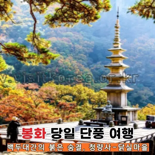l여행가는달l 봉화 숨은비경 단풍여행 : 청량산+청량사_닭실마을+청암정 단풍구경 당일여행