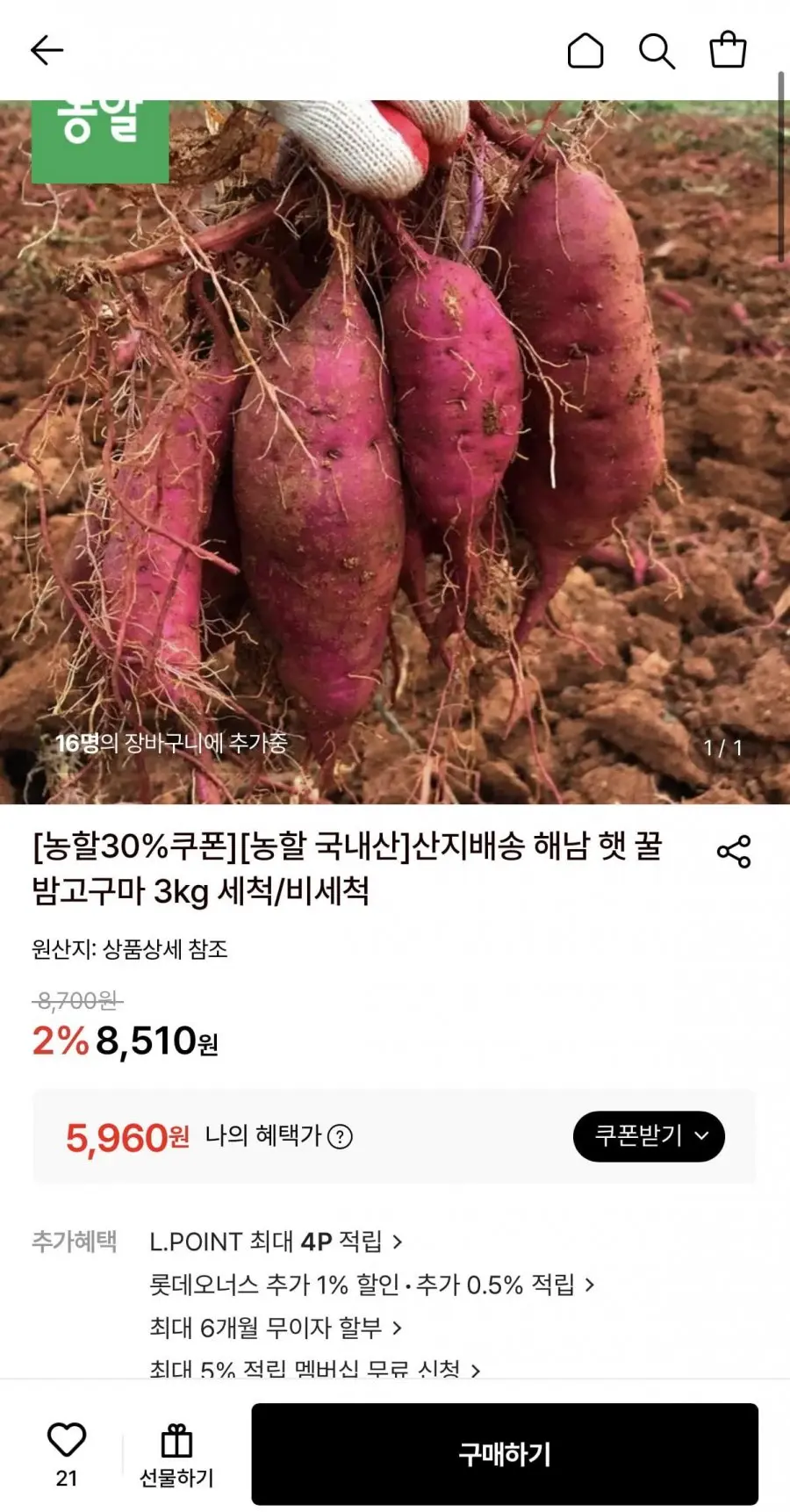 [롯데온] 햇꿀밤고구마 3kg 비세척 한입 (5,960원/무료)