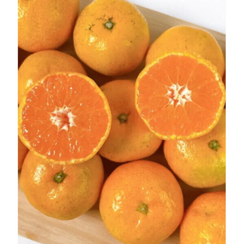 산지직송 귤 고당도 타이백 귤 5kg 한박스  중대과(L/2L) 15브릭스이상