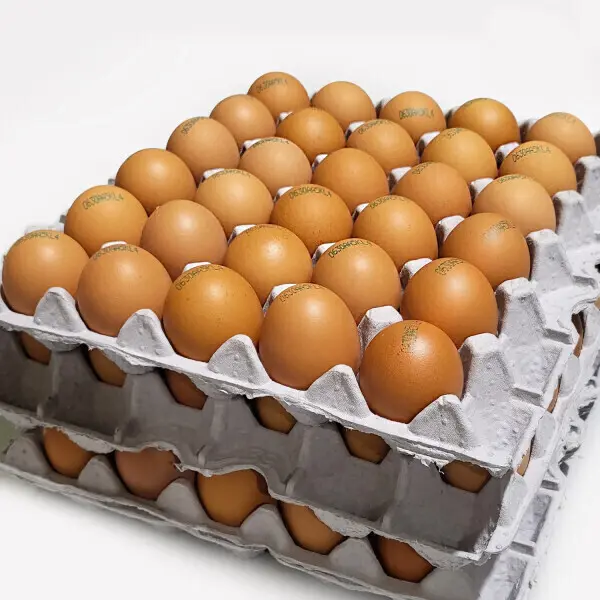 농장직송 신선한 안심 달걀 특란XL 60구(3600g) 사장님을 위한 신선란 (쿠폰가 19,040원/무료)