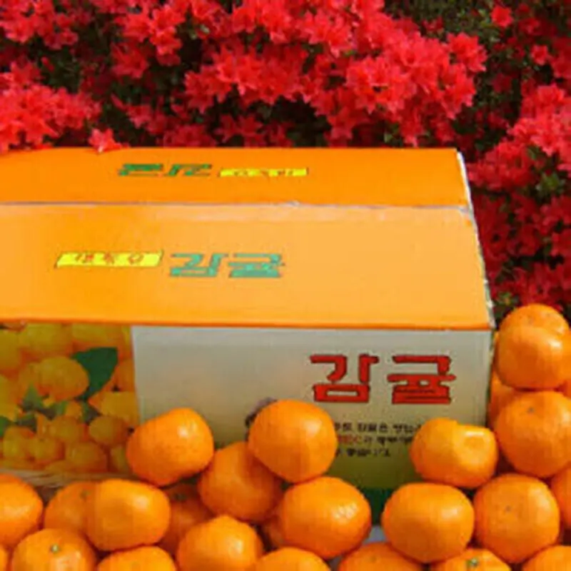 한라산농장 귤 10KG 중대과 L~2L 첫수확 불만족시 무료반품