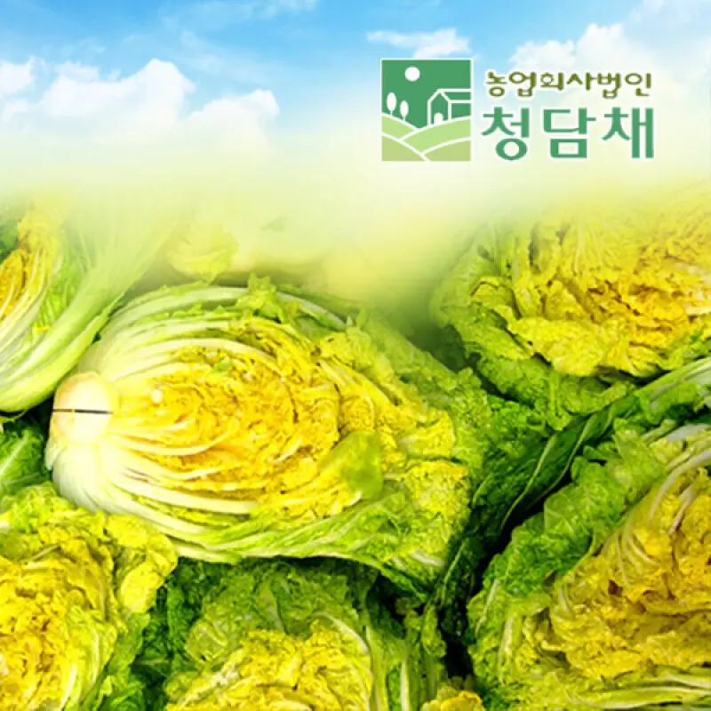 괴산절임배추20kg /90일배추/천일염절임/준고랭지배추
