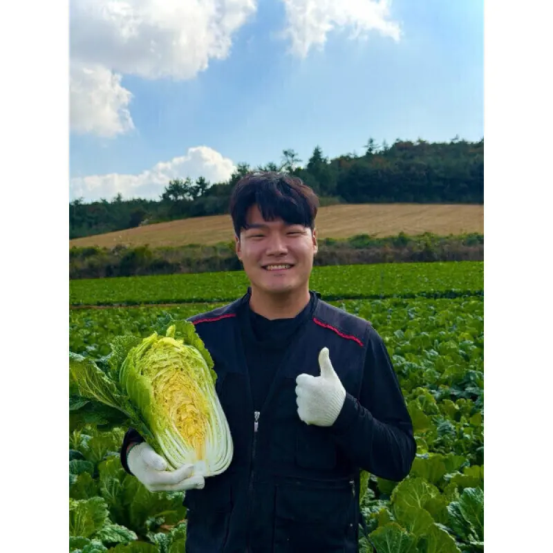 해남 절임배추 20kg(7~9포기) 절인배추 예약발송 GAP인증 해남에서 직접 키운 절임배추 예약 배송
