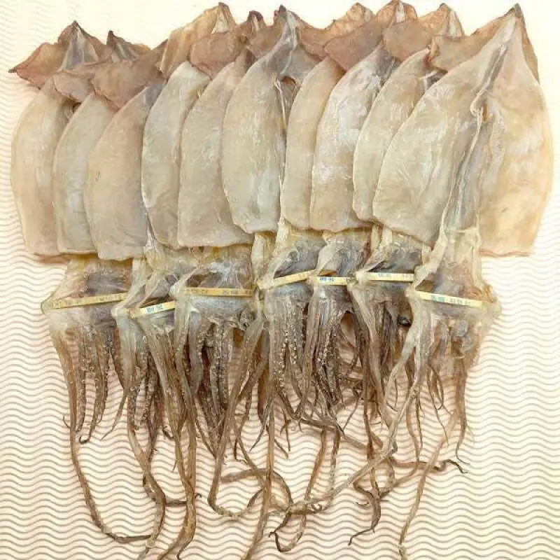 동해안 건오징어 10마리 400g 국산 최저가.