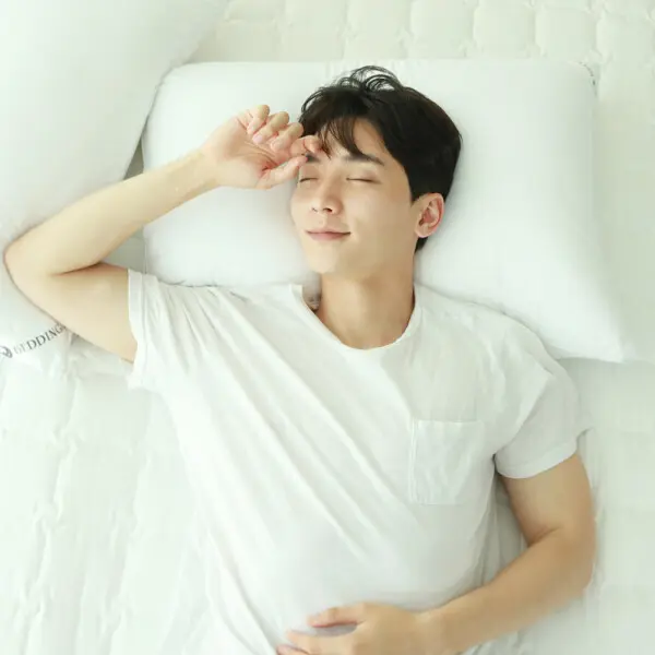 국내생산 1+1 낮은/높은/경추 마이크로화이바 알러지케어 항균 베개솜