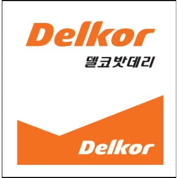 델코 DF 100L 자동차 배터리 차량용 배터리 테라칸 베라크루즈 그랜드 카니발 봉고3 모하비