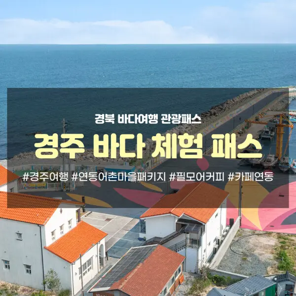 경북 바다여행 관광패스 경주(연동어촌마을패키지스테이연동+스노쿨링+카페+필모어커피)