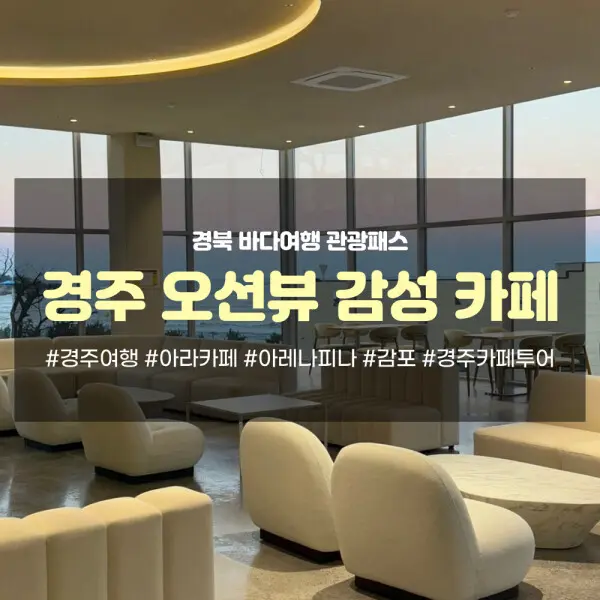 경북 바다여행 관광패스 경주(아라카페+아레나피나)