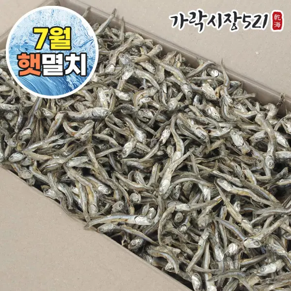 (신선집중) 국내산 햇 고바멸치 1.5kg 조림 볶음 안주용 새벽경매 7월 첫출하 (쿠폰가 13,680원/무료)