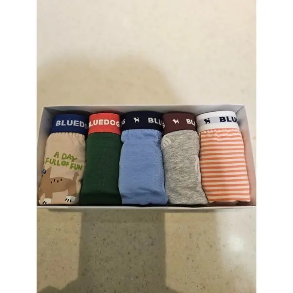 [블루독](파주점)블루독 ( GN ) 컬러블럭 5종 사각팬티 25WE551001 (53,500원/3,000원)