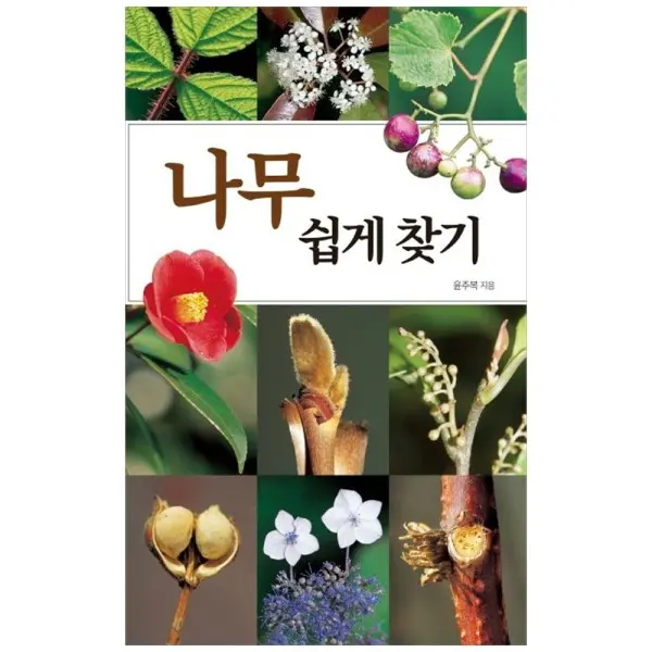 [진선북스]책광장 모두 나무 쉽게 찾기 (40,500원/무료)